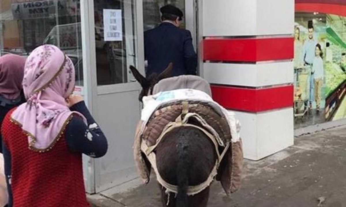 Paralı poşeti protesto için alışverişe eşekle geldi