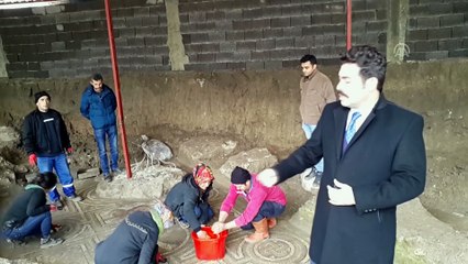 Binlerce yıllık mozaikte turp figürü - OSMANİYE