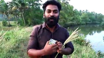 Open This Magic Cube  മാന്ത്രിക പെട്ടി ഉണ്ടാക്കിയാലോ  M4 Tech