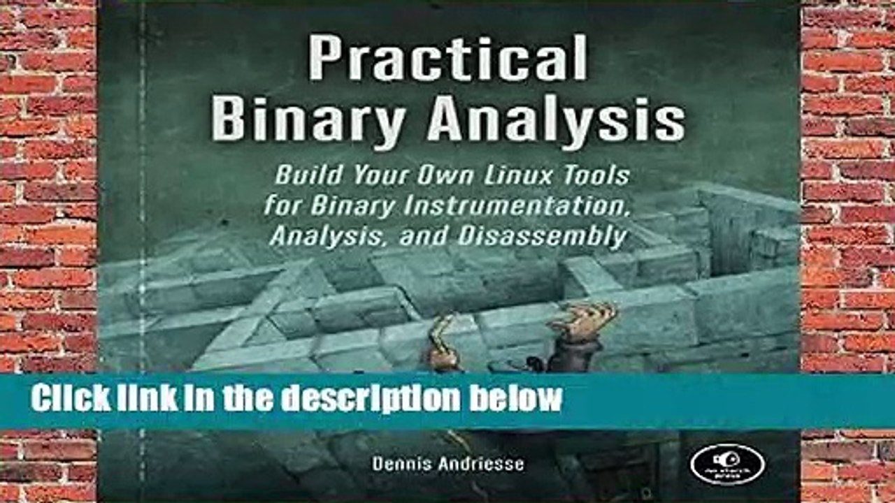 Practical Binary Analysis