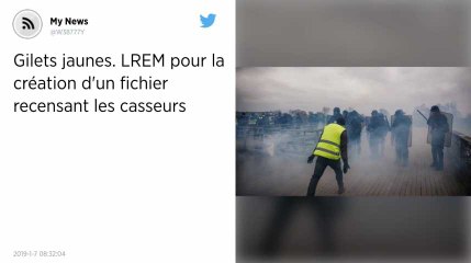 Gilets jaunes. LREM pour la création d'un fichier recensant les casseurs