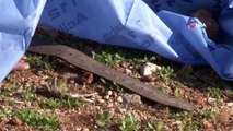 - Antalya’da şüpheli ölüm: Kolunda pantolon kemeri takılı erkek cesedi bulundu