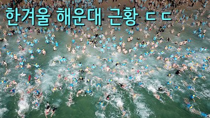 [뉴스토리] '인간 북극곰들' 차가운 겨울 바다에 풍덩~