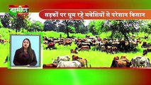 UttarPradesh में BJP को हराने के लिए Mayawati - Akhilesh ही काफी | Grameen News | UttarPradesn News