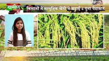 Kisan Bulletin -  अब 12 दिसंबर 2018 तक के कर्ज होंगे माफ | Grameen News