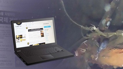 '돈스코이호 사기' 현재 진행형...회사 이름만 바꿨다 / YTN