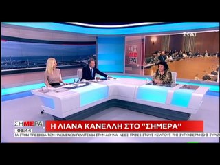 Λ. Κανέλλη: "Διαμορφώνεται ένα σκηνικό τεραστίων αλλαγών..."
