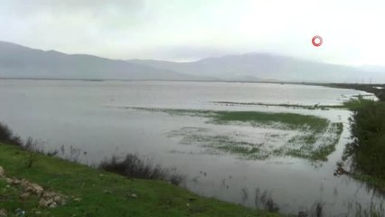 Sağanak Yağmur Sonrası Amik Ovası Sular Altında Kaldı