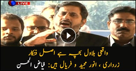 Bilawal is the child,  the real artists are Zardari, Anwar Majeed and Faryal: Fayyaz ul Hassan