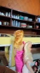 IAN ERICK CARRASCO MONTAGNER Y LAS MUÑECAS DE MEDIA NOCHE