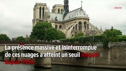 À Paris, un début 2019 dans les nuages