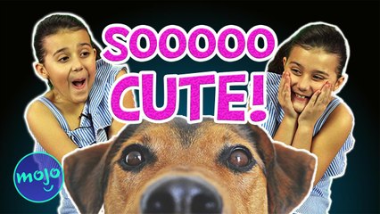 CUTE DOGS PICTURES with Oriana!