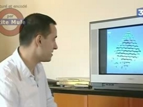 Record du monde saut en parachute groupé