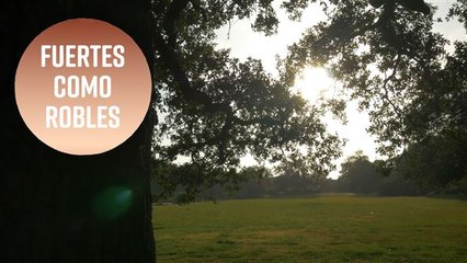 10 grandes futbolistas que jugaron con más de 40 años