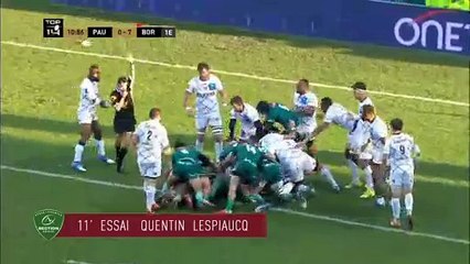 PAU UBB RESUME