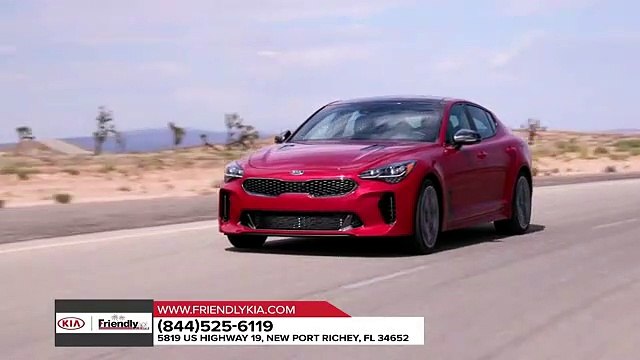 2019 Kia Stinger Tampa FL | Kia Stinger Dealership Tampa FL