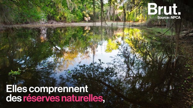 Les effets néfastes du mur souhaité par Trump sur l'environnement