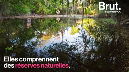 Les effets néfastes du mur souhaité par Trump sur l'environnement