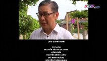 Ngậm Ngùi Tập 39 || Phim Việt Nam THVL1 || Phim Ngam Ngui Tap 39 || Ngam Ngui Tap 40