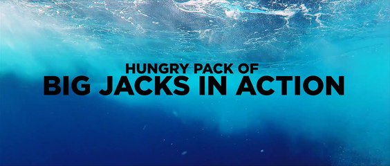 Pacific Jacks Attack!