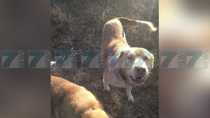 MAT, UJQERIT ZBRESIN NE ZONAT E BANUARA, SULMOJNE 10 KRERE BAGETI - News, Lajme - Kanali 7