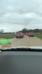 Rogue Camels Run Through Cars