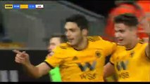 Raul Jimenez Goal - Wolverhampton Wanderers vs Liverpool 1-0 07/01/2019