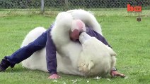 Amitié incroyable entre un homme et un ours blanc