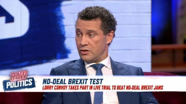 Romania EU Presidency, Yellow Vests, Brexit | Raw Politics