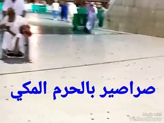 عاجل الصراصير تنتشر بالحرم المكي وانتشار الجراد في مكه المكرمه