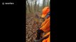 Incredible moment deer approaches, nuzzles hunters in Ohio