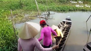 Thôn nữ giăng lưới bắt cá mùa nước nổi (Female village raises nets to catch floating water fish)