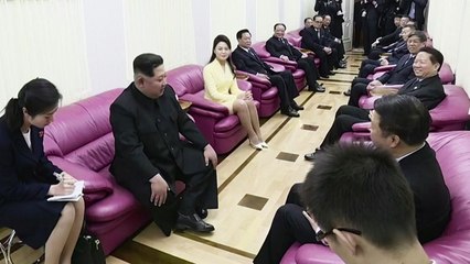 北 방송, 김정은 방중 확인...北 핵심 총 출동 / YTN