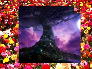 MENINISM - Why U Should Not Blame Women 4 Anything - MGTOW