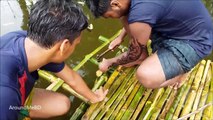 Swimming Pool House Making By Smart Village Boys - Build House On Fish Farming Ponds Water