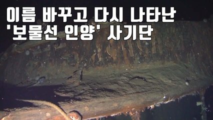 [자막뉴스] '보물선 인양 투자하세요' 어디서 많이 봤다 했는데... / YTN
