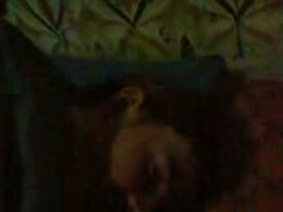 Malc dodo
