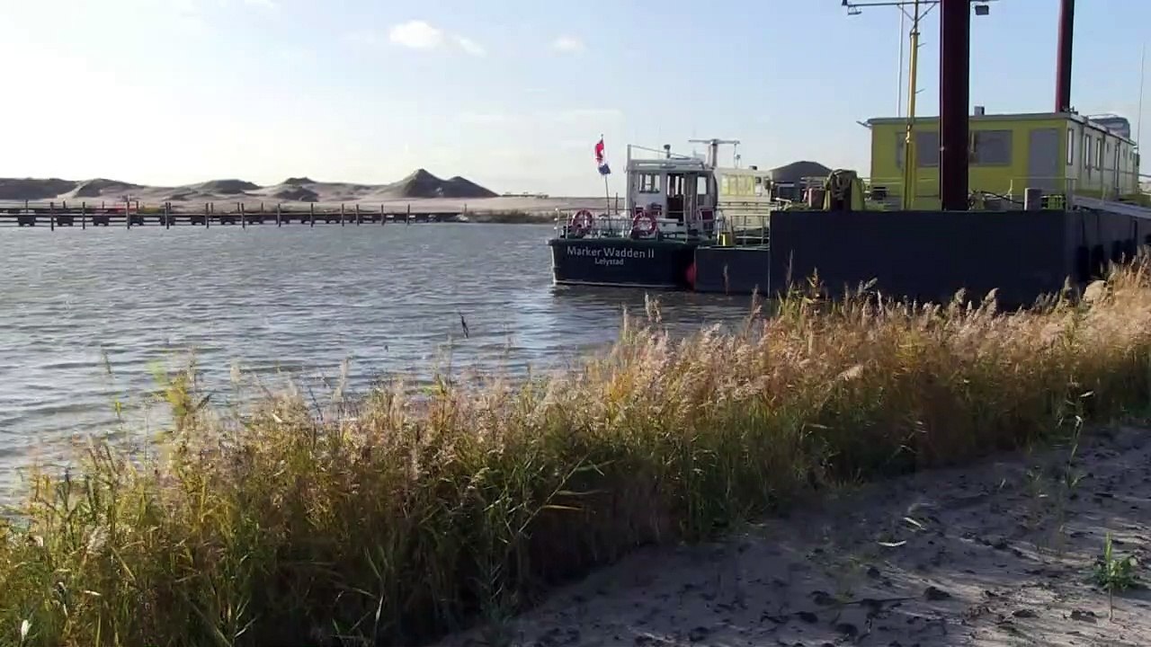 Fünf neue Inseln für mehr Biodiversität