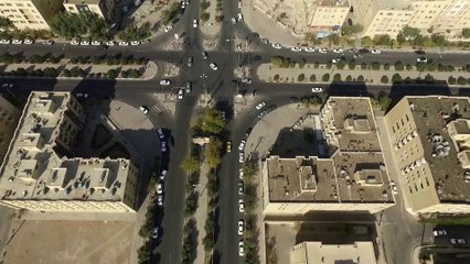 Dolphin Telematics ENG - 80MB