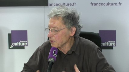 Pierre Birnbaum : "Pour l'instant, les analyses sur les Gilets jaunes sont difficiles"