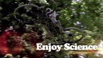 ENJOY SCIENCE EP 3 (1/3)