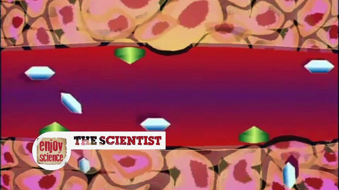 ENJOY SCIENCE EP 3 (2/3)