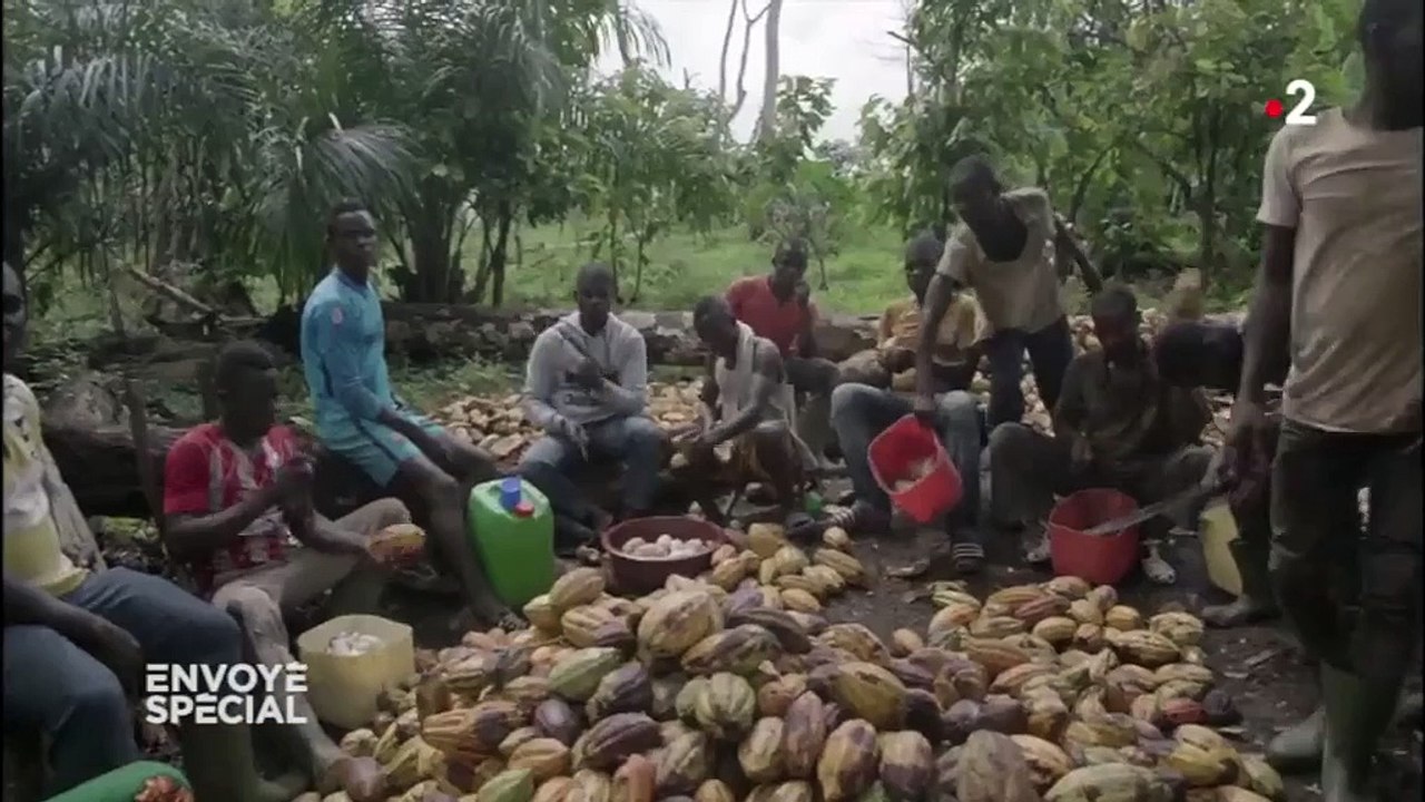 Déforestation, travail des enfants : "Envoyé spécial" enquête sur la face cachée du chocolat