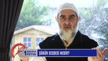 742) Şükür secdesi nedir? / Birfetva