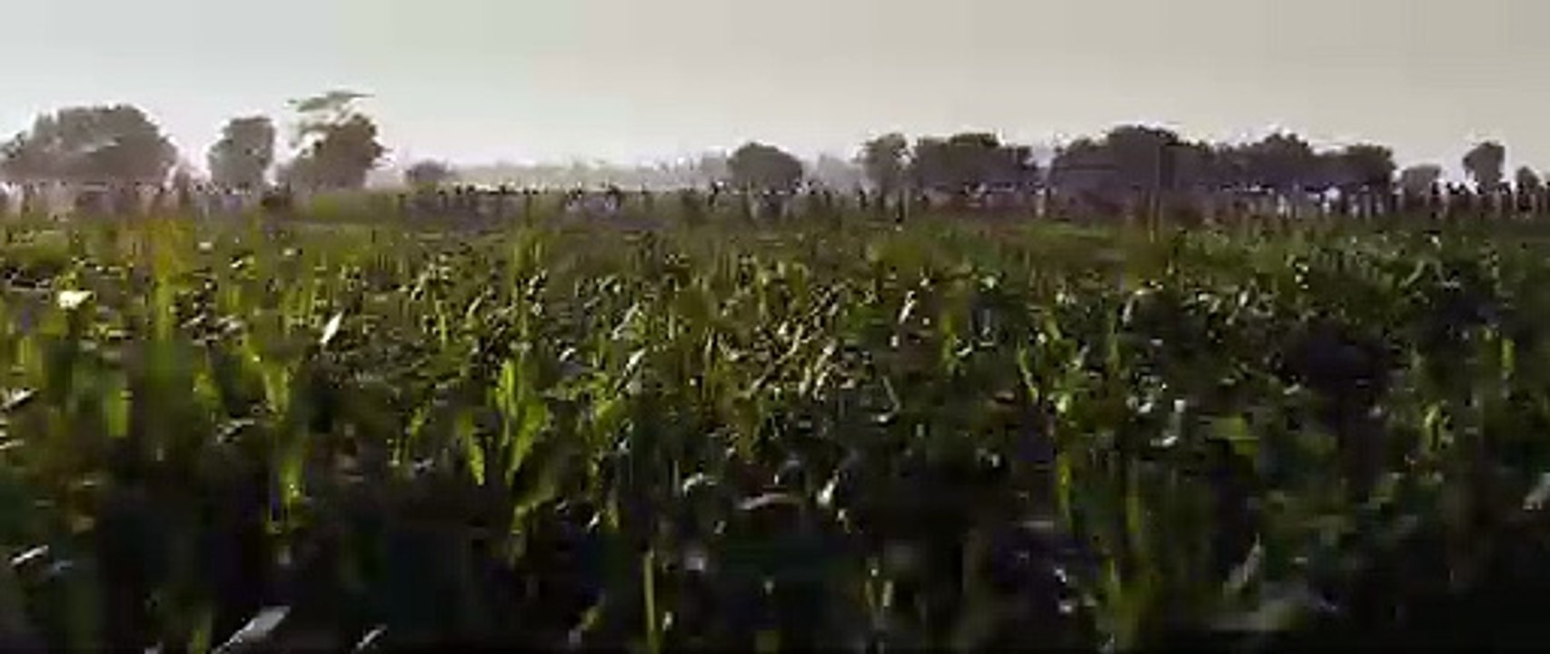 || The Legend of Maula Jatt (2019) - Official First Look Trailer ||