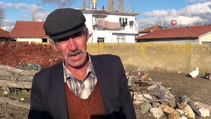 Bu köyde her evde kaz yetiştiriliyor