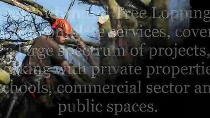 Tree Services Sydney