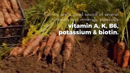 Vajraayu Online Ayurvedic Store - #carrot #food #healthy #yummy #foodie #cucumber #healthyfood