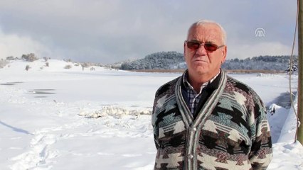 Donan gölde yiyecek arayan kazlara yardım eli uzandı - DENİZLİ