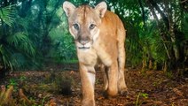 How National Geographic stays relevant in the Instagram era